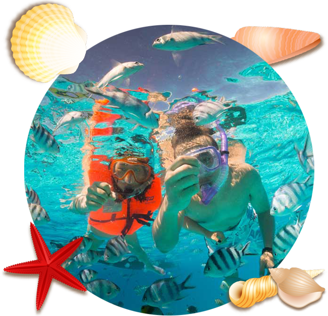 Guests snorkeling with tropical fish in the clear Bora Bora lagoon