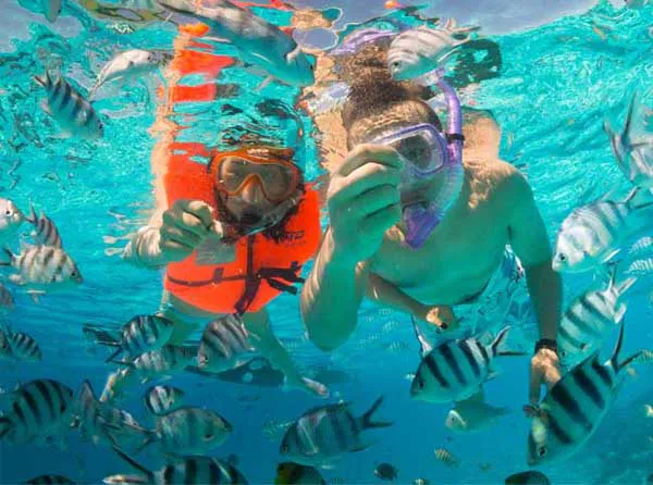Voyageurs en snorkeling avec des poissons tropicaux dans le lagon cristallin de Bora Bora